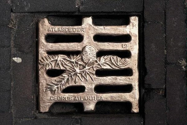 Onderdeel uit een reeks bronzen afvoerdeksels (32 stuks) in Goede Herder in Laren